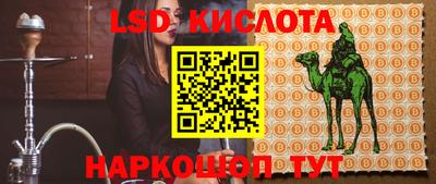 тгк Камышлов
