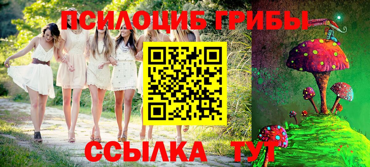 Псилоцибиновые грибы мицелий Луховицы